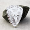 American Eagle Back Coin Guitar Pick, Coin Guitar Picks