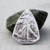American Eagle Coin Guitar Pick, Coin Guitar Picks