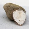 Sacagawea Golden Dollar Back Coin Guitar Pick, Coin Guitar Picks