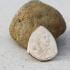Sacagawea Golden Dollar Front-The Original Coin Guitar Picks Coin Guitar Pick, Coin Guitar Picks