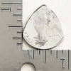1976 Guyana Creativity 50 Cents - Image 3