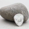 Missouri Quarter 99.9% Silver Replica