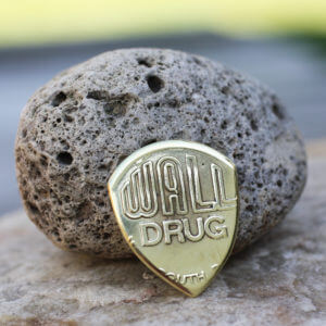 Wall Drug South Dakota Token Coin Guitar Pick