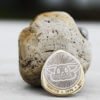 Aerosmith Russian 10 Rubles Bimetallic