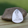 2018 Russia 25 Rubles Fifa World Cup Coin Guitar Pick, Coin Guitar Picks